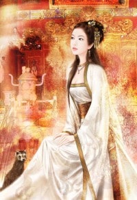 《我,上門女婿(林辰蘇洛)》