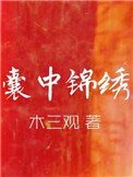 《囊中錦繡》