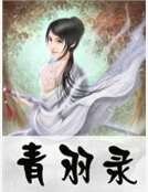 《青羽錄》