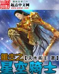 《重生之星空騎士》