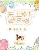 《天上掉下一隻喵》