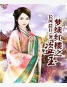 《夢續紅樓之盜玉》