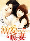 《婚不由己之溺愛暖妻》
