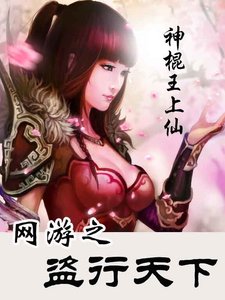 《網遊之盜行天下》