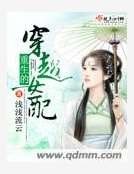 《重生的穿越女配》