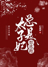 《太子妃總是想逃跑》