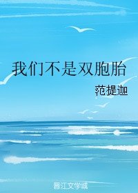 《我們不是雙胞胎》