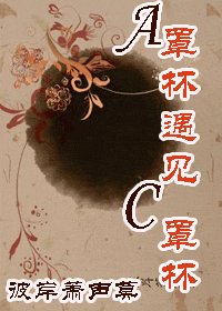 《A罩杯遇見C罩杯》