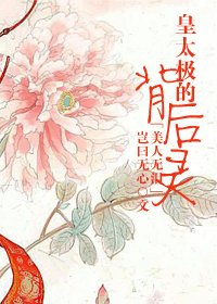 《(美人無淚同人)皇太極的背後靈》