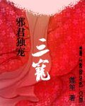 《邪君獨寵:三寵》