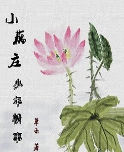 《小藕莊少年情事》