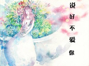《説好不愛你》