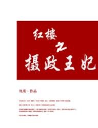 《(紅樓夢同人)紅樓之攝政王妃》