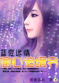 《藍夜迷情:偷心追緝令》