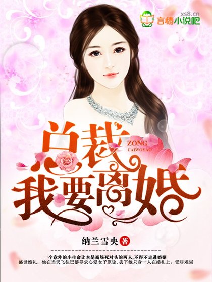 總裁,我要離婚