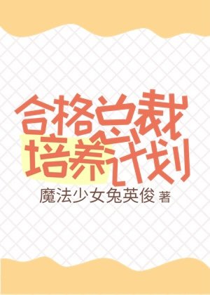 《合格總裁培養計劃》