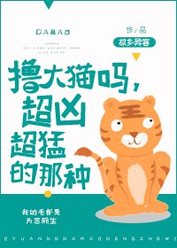 《擼大貓嗎,超兇超猛的那種!》