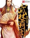 《武林霸圖》