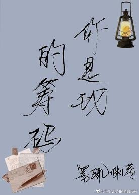 你是我的籌碼