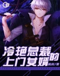 《冷艳总裁的上门女婿》