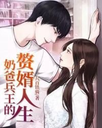 奶爸兵王的贅婿人生