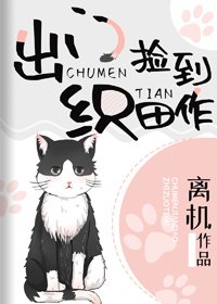 《(BG/綜漫同人)出門撿到織田作》