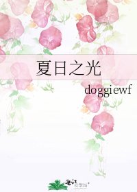 《夏日之光》