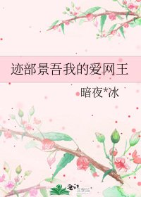 《跡部景吾我的愛網王》