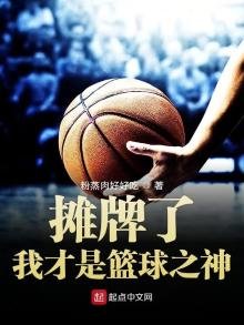 《攤牌了我才是籃球之神》