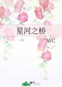 《星河之橋》