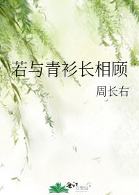 《若与青衫长相顾》