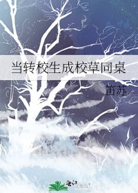 《當轉校生成校草同桌》