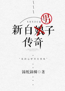 《新白男子傳奇》