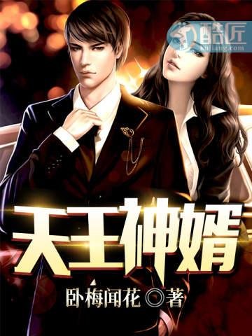 《天王神婿》