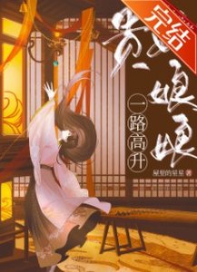 《貴妃娘娘一路高升》