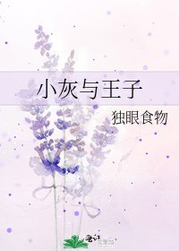 《小灰與王子》