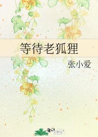 《等待老狐狸》