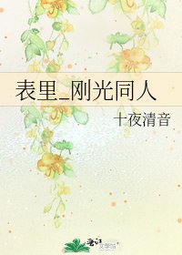 《表裏_剛光同人》