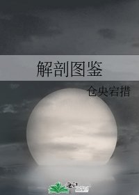 《解剖圖鑑》