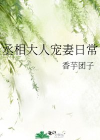 《丞相大人寵妻日常》