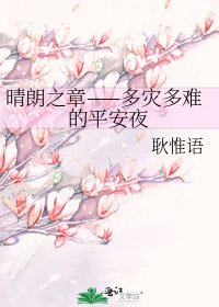 《晴朗之章——多災多難的平安夜》