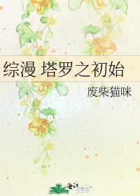 《綜漫 塔羅之初始》