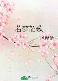 《若梦韶歌》