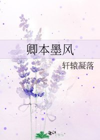 《卿本墨风》