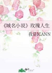 《域名》
