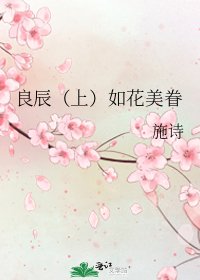 《良辰(上)如花美眷》