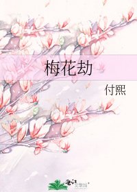 《梅花劫》
