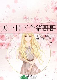 《天上掉下個豬哥哥》