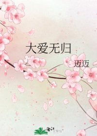 《大爱无归》