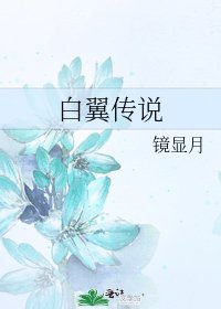 《白翼傳説》